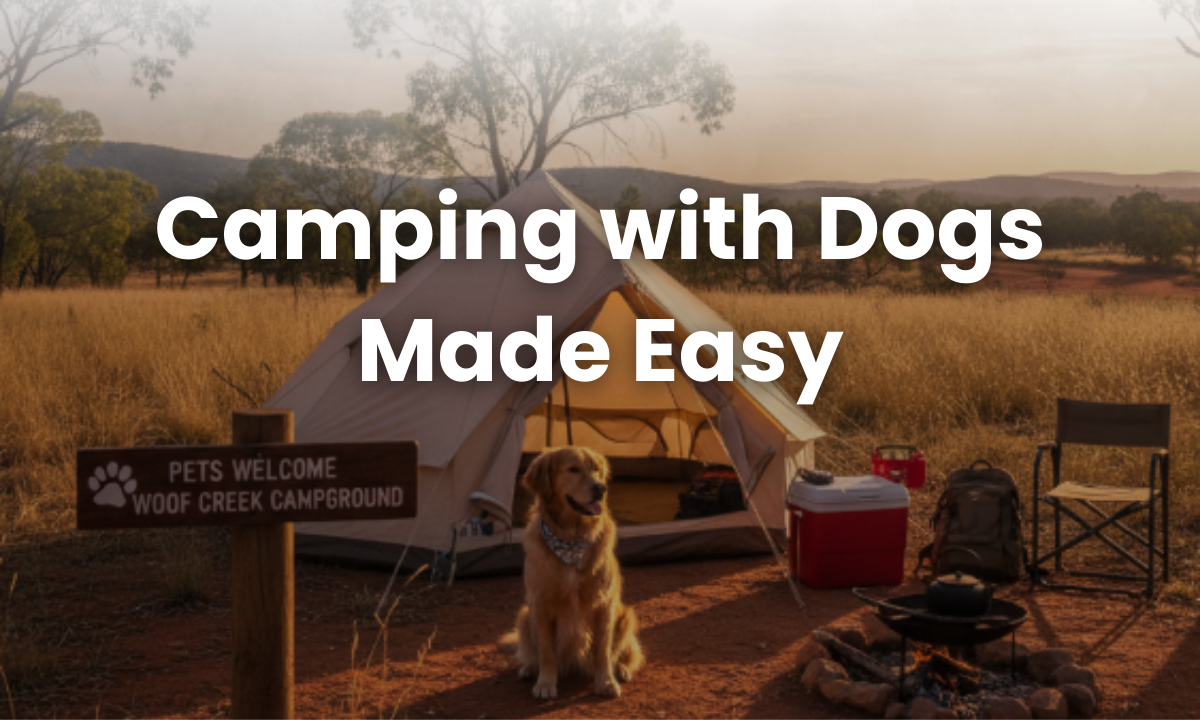 Dog sitting by a tent at a pet-friendly campsite with camping gear in Australia
