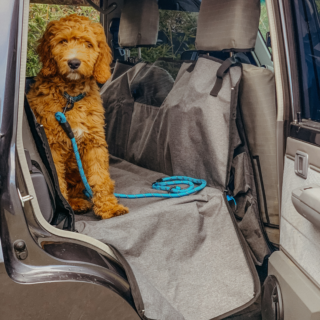 Navigator HUNDESITZ BUDDY. Hundesitz für die Rückbank des Autos - Kumpl