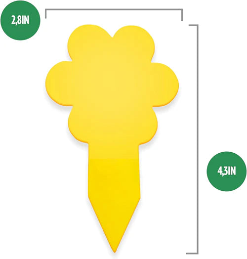 Super Ninja Plant Fly Sticky Traps-RV Online