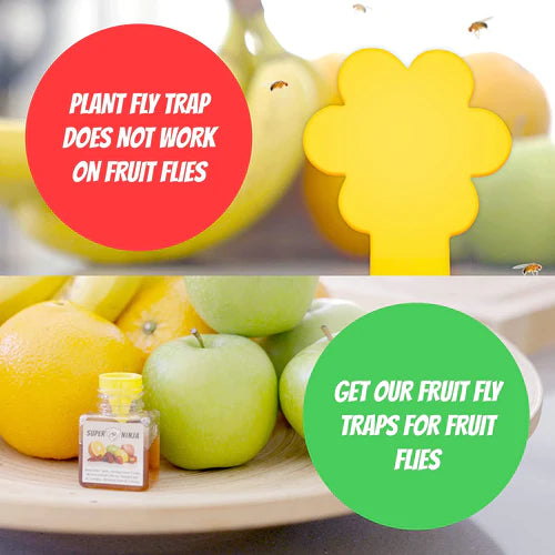 Super Ninja Plant Fly Sticky Traps-RV Online