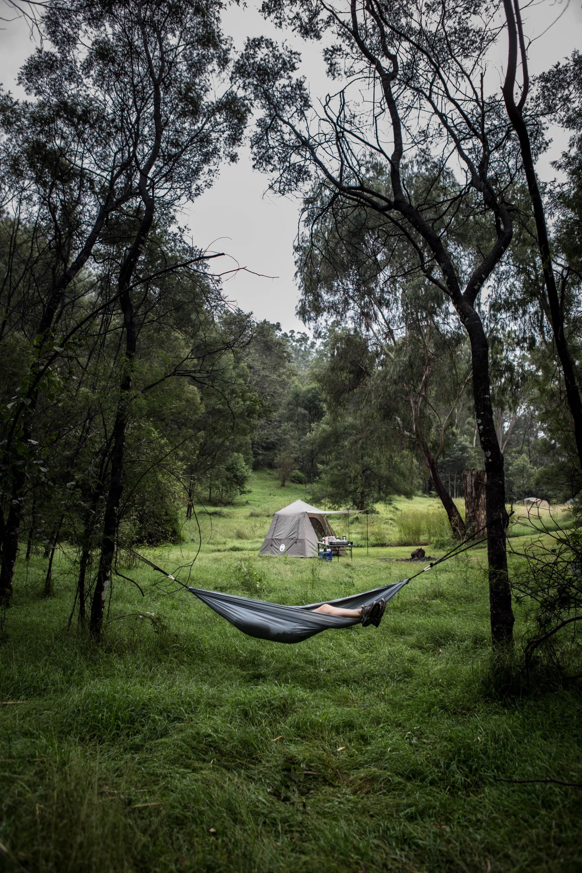 Coleman Hammock Lightweight | camping hammock