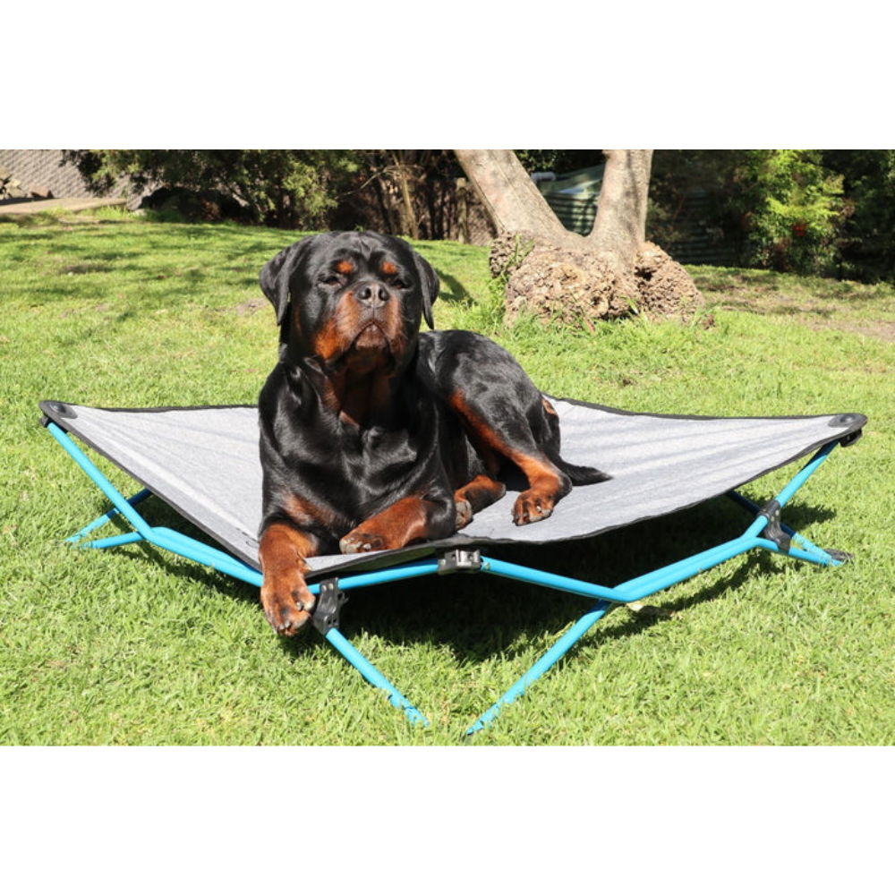 Navigator - Navi Dog Bed LARGE