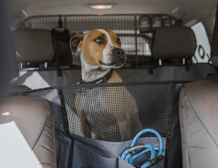 Navigator - Dog Seat Buddy - RV Online