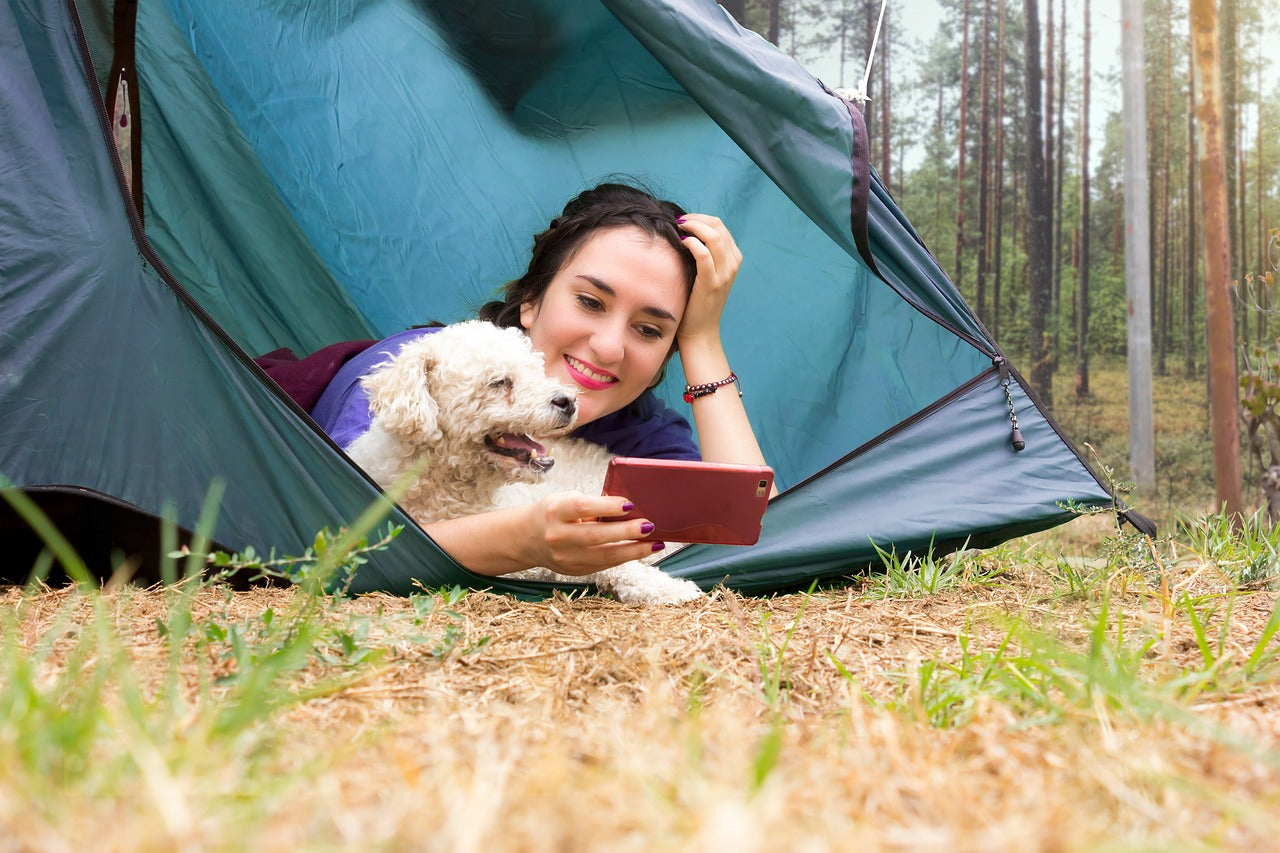 Dog-Friendly Beach Camping – RV Online