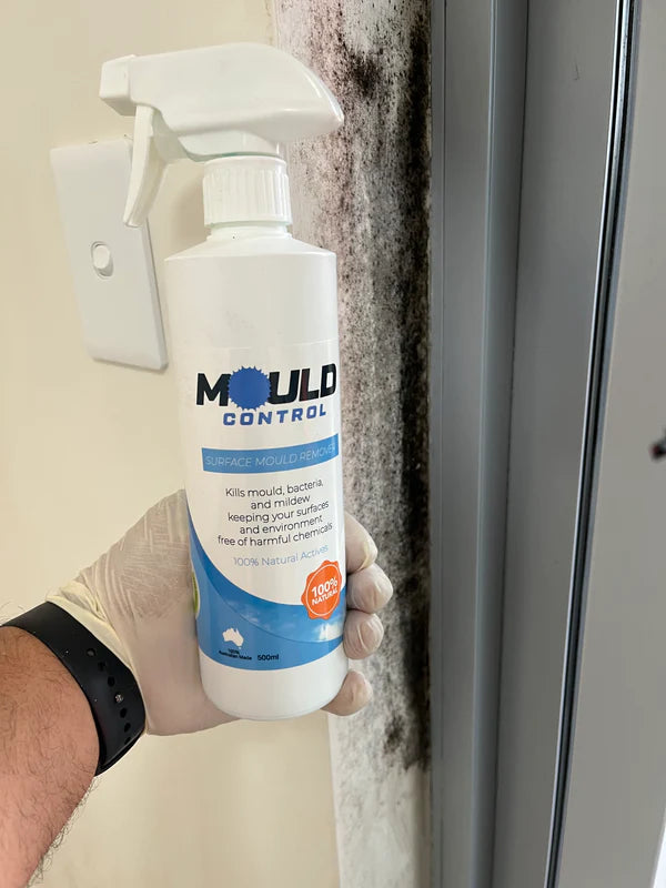 San air Mould Contro Spray 500ml-RV Online