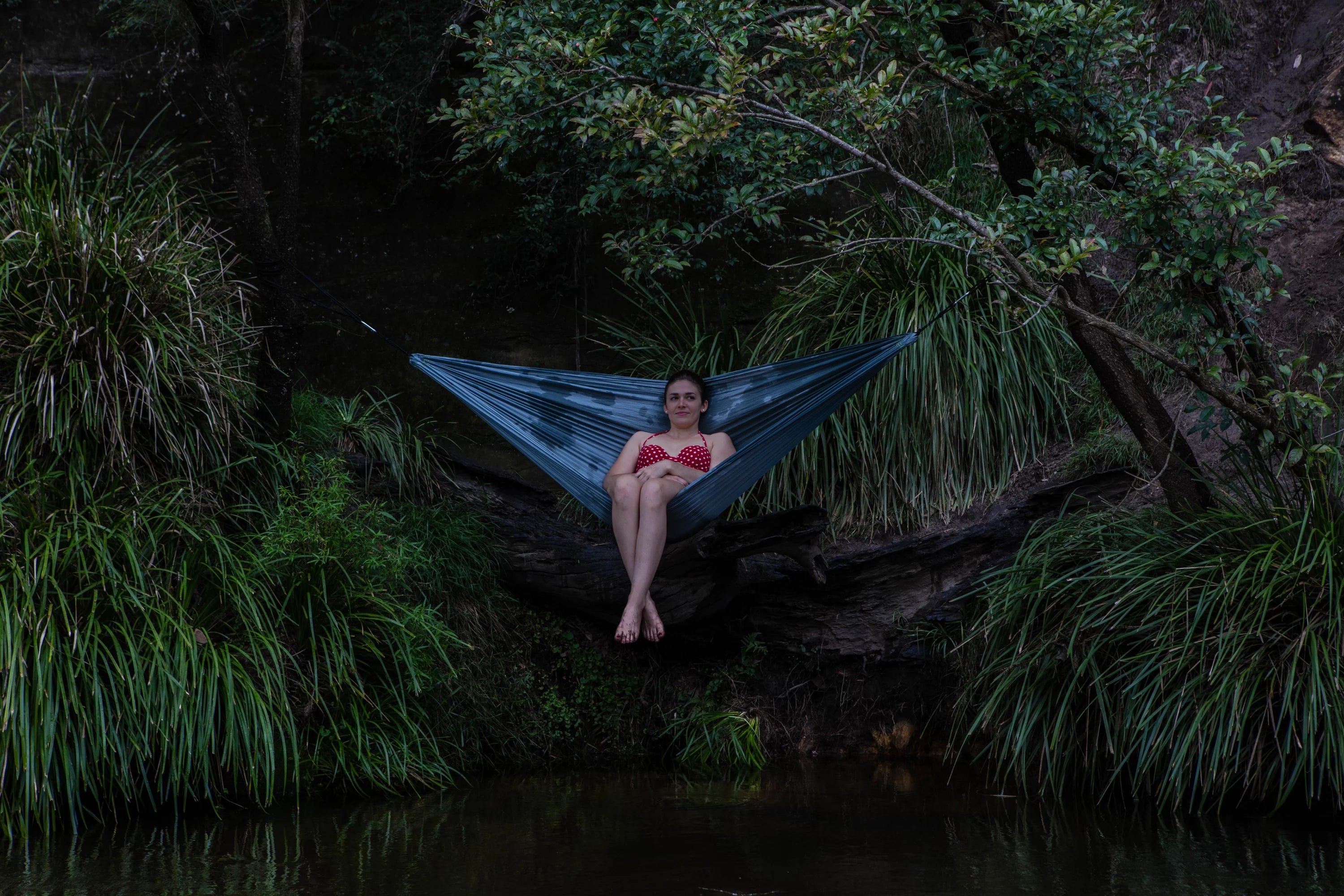 Coleman Hammock Lightweight | camping hammock