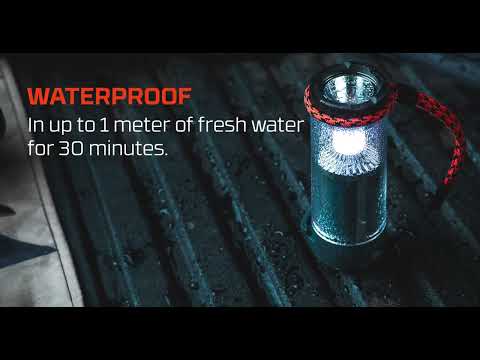 Nebo Galileot Tempest 350 - RV Online