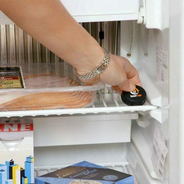 BMPRO SmartTemp Bluetooth Temperature Sensor - RV Online