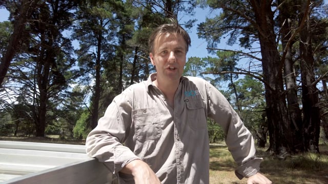 Black Jack - Folding Foot