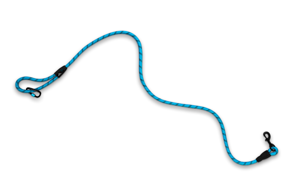 Navigator - Dog Leash Buddy - RV Online