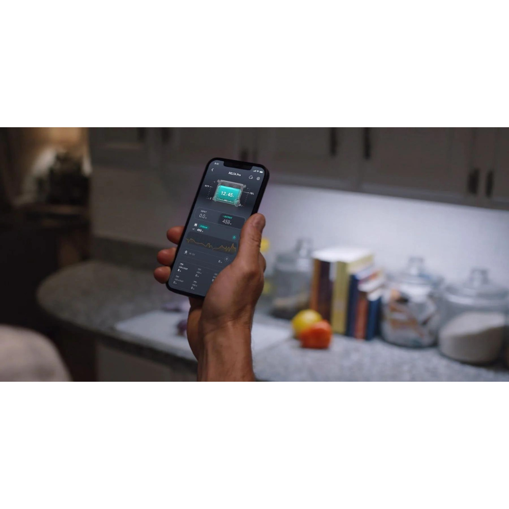 EcoFlow Delta Pro - RV Online