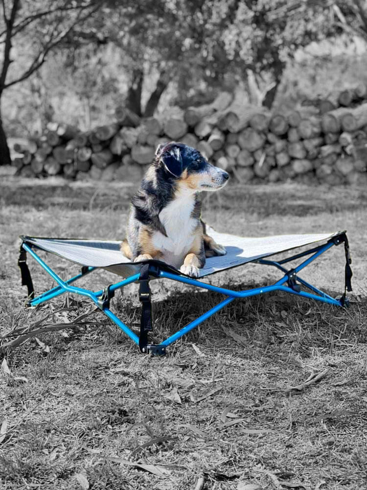 Navigator - Navi Dog Bed - RV Online