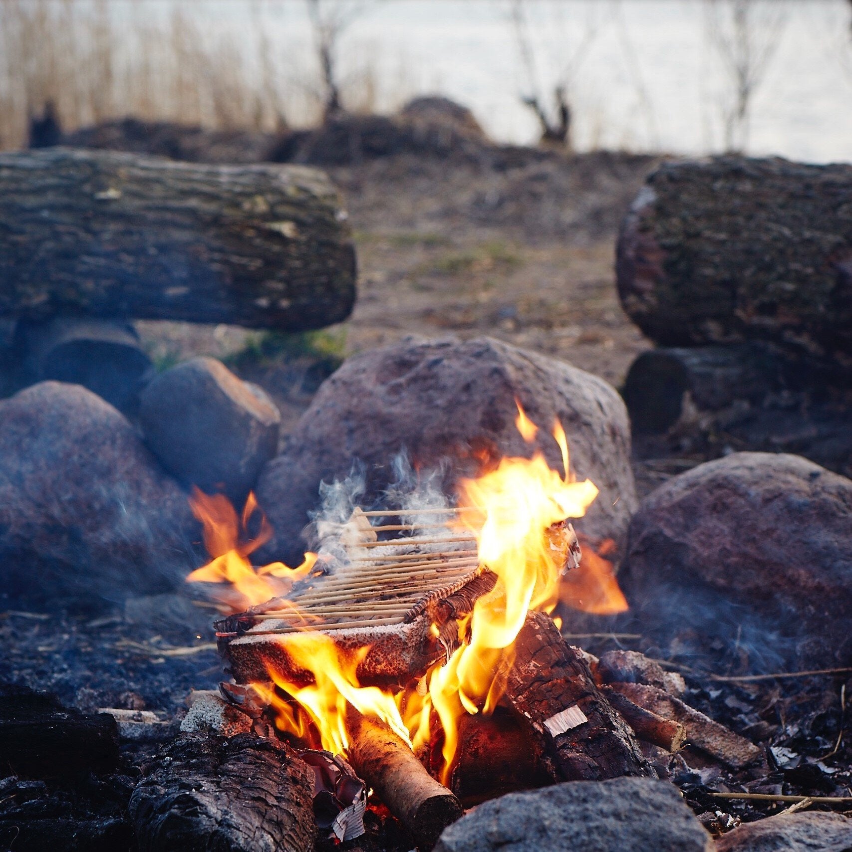 CasusGrill - Portable BBQ - Pack of 3 - RV Online